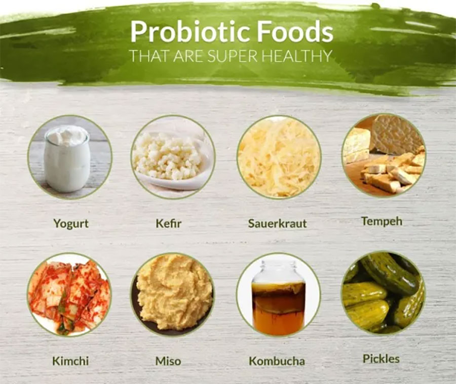 Probiotics hỗ trợ sức khỏe đường ruột bằng cách cân bằng vi khuẩn trong hệ vi sinh vật